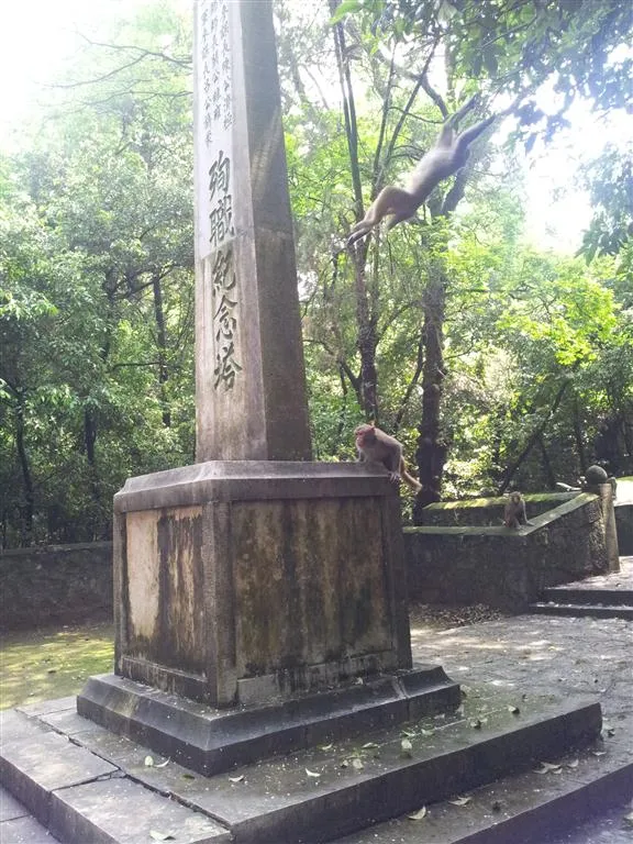 20120430_112400 (Medium) 示例