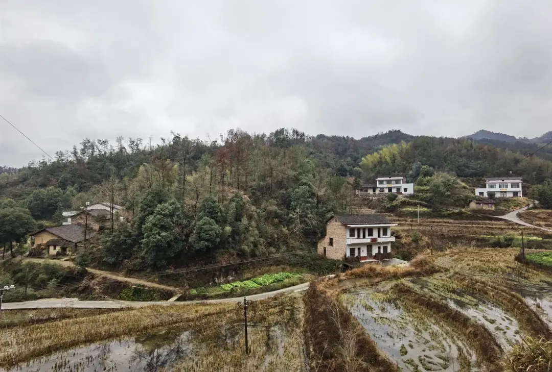 2019年冬天的家乡