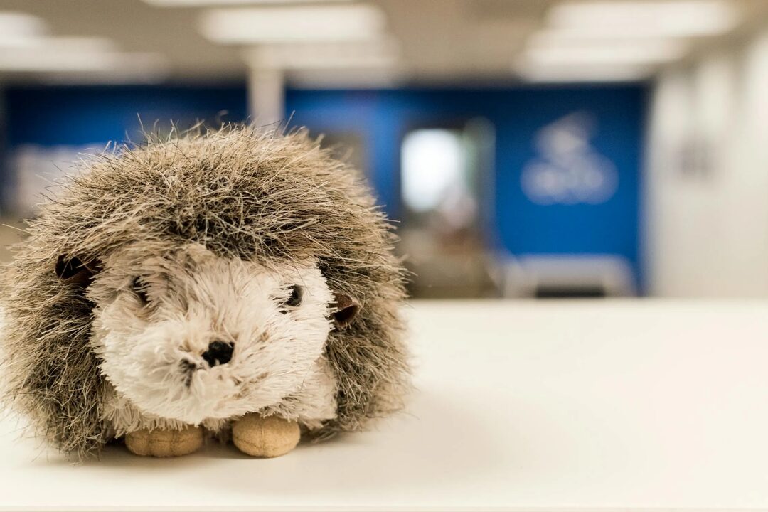 幻想给小孩取名字