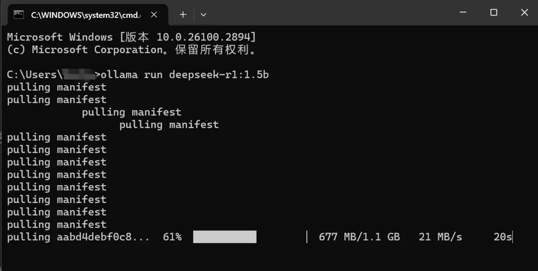 运行DeepSeek本地版本
