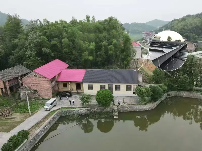 重新装修设计图(图左侧是我老婆的堂兄家,但已经闲置超过 20 年)